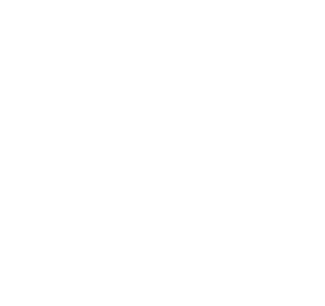 ferro signum